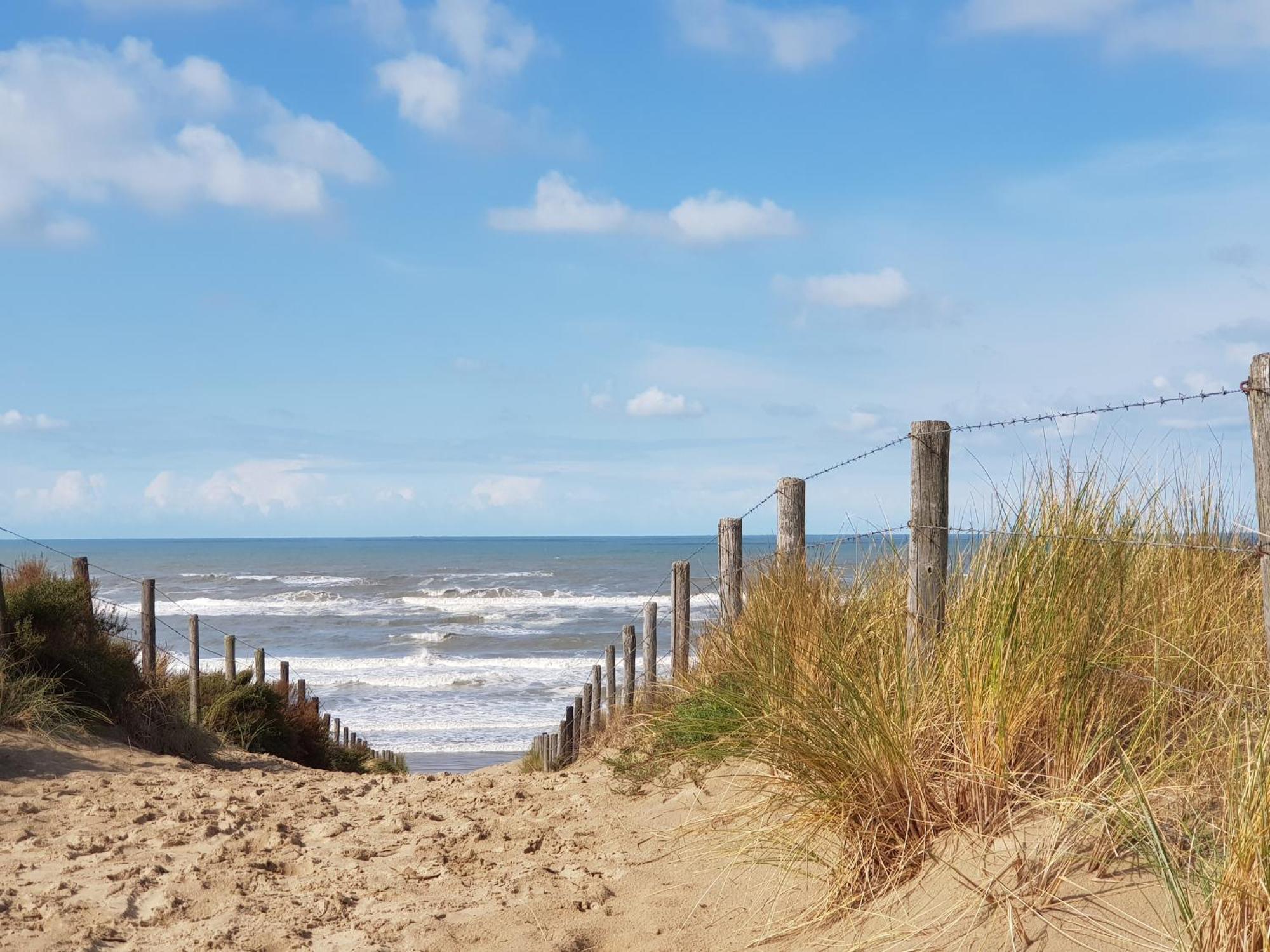 Hotel B&B Seahorse Katwijk aan Zee Esterno foto